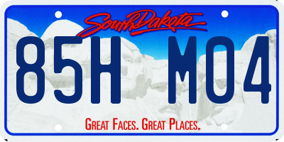 SD license plate 85HM04