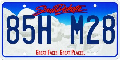 SD license plate 85HM28