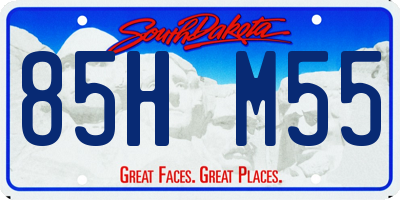 SD license plate 85HM55