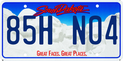 SD license plate 85HN04