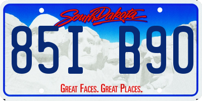 SD license plate 85IB90