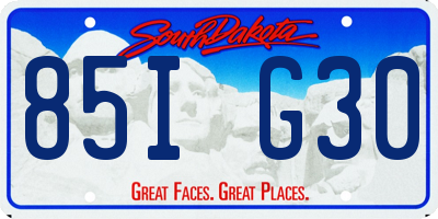 SD license plate 85IG30