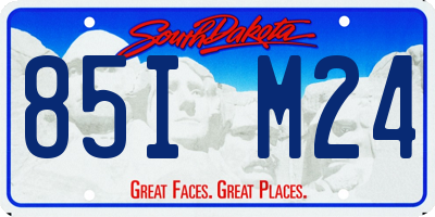SD license plate 85IM24