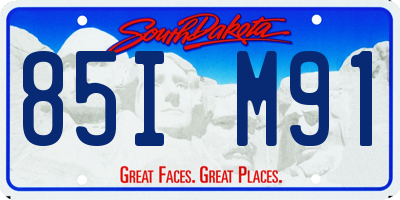 SD license plate 85IM91