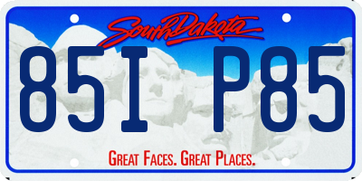SD license plate 85IP85