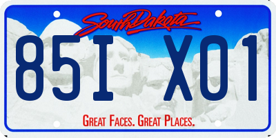 SD license plate 85IX01