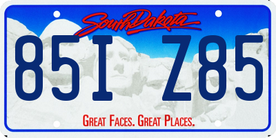 SD license plate 85IZ85