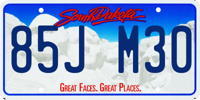 SD license plate 85JM30