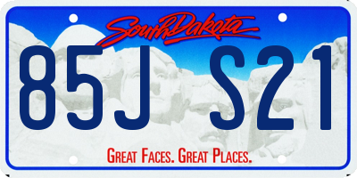 SD license plate 85JS21