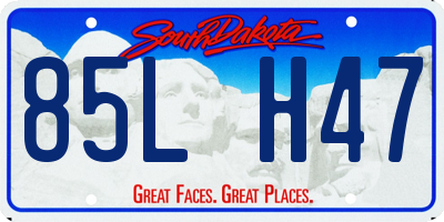 SD license plate 85LH47