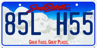 SD license plate 85LH55