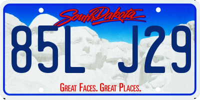 SD license plate 85LJ29