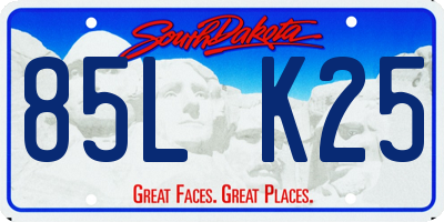SD license plate 85LK25
