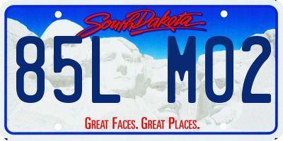 SD license plate 85LM02