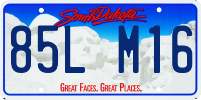 SD license plate 85LM16