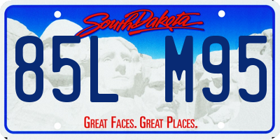 SD license plate 85LM95