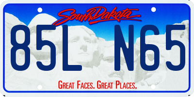 SD license plate 85LN65