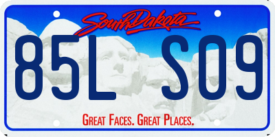 SD license plate 85LS09
