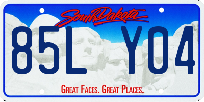 SD license plate 85LY04