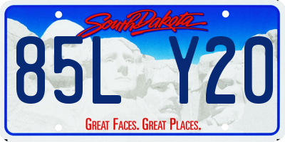 SD license plate 85LY20