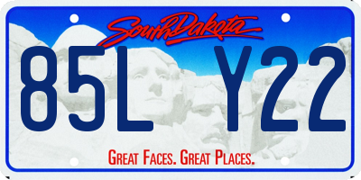 SD license plate 85LY22