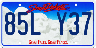 SD license plate 85LY37