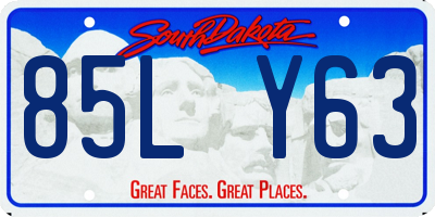 SD license plate 85LY63