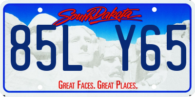 SD license plate 85LY65