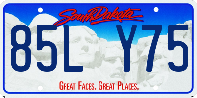 SD license plate 85LY75