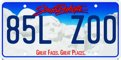 SD license plate 85LZ00