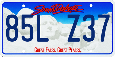 SD license plate 85LZ37