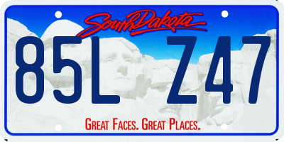SD license plate 85LZ47