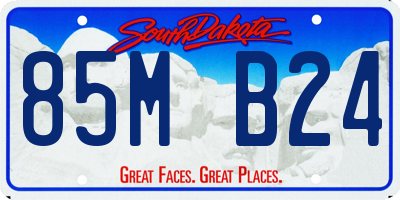 SD license plate 85MB24