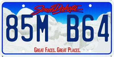 SD license plate 85MB64