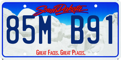 SD license plate 85MB91
