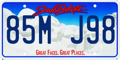 SD license plate 85MJ98
