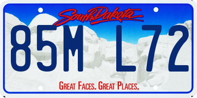 SD license plate 85ML72