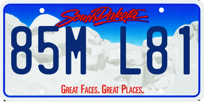 SD license plate 85ML81