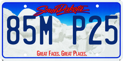 SD license plate 85MP25