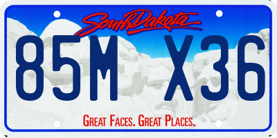 SD license plate 85MX36
