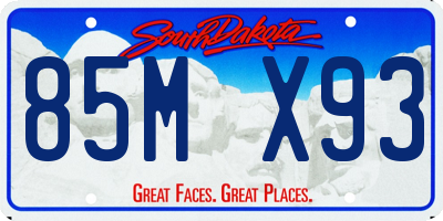 SD license plate 85MX93