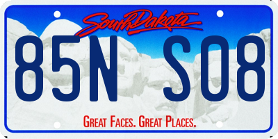 SD license plate 85NS08