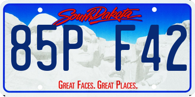 SD license plate 85PF42