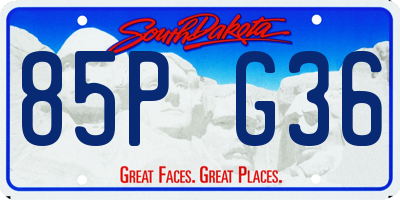 SD license plate 85PG36