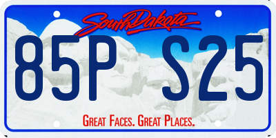 SD license plate 85PS25
