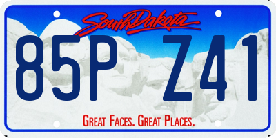 SD license plate 85PZ41