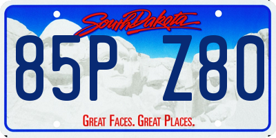SD license plate 85PZ80