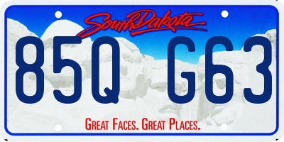 SD license plate 85QG63