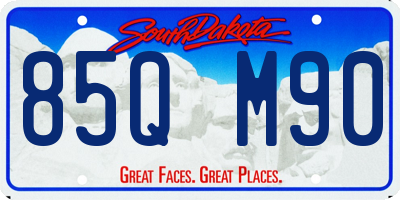 SD license plate 85QM90