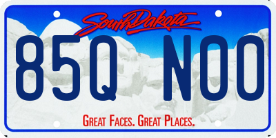 SD license plate 85QN00